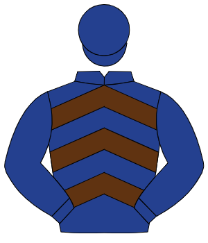 DARK BLUE & BROWN CHEVRONS, dark blue sleeves & cap