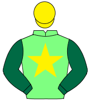 LIGHT GREEN, yellow star, dark green sleeves, yellow cap                                                                                              