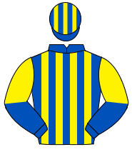 ROYAL BLUE & YELLOW STRIPES, halved sleeves, striped cap                                                                                              