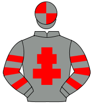 GREY, red cross of lorraine, hooped sleeves, quartered cap                                                                                            