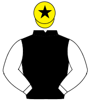 BLACK, white sleeves, yellow cap, black star                                                                                                          