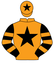 ORANGE, black star , black & orange hooped sleeves, orange cap, black star