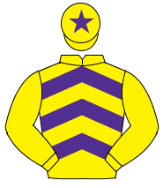 YELLOW & PURPLE CHEVRONS, yellow sleeves, yellow cap, purple star                                                                                     