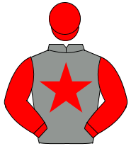 GREY, red star, red sleeves & cap                                                                                                                     