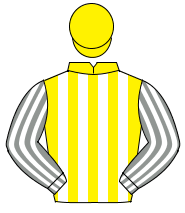 YELLOW & WHITE STRIPES, grey & white striped sleeves, yellow cap                                                                                      
