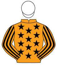 ORANGE, black stars, striped sleeves, white cap                                                                                                       