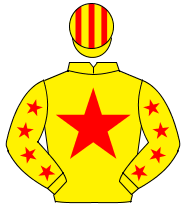 YELLOW, red star, red stars on sleeves, striped cap                                                                                                   