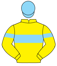 YELLOW, light blue hoop on body and sleeves, light blue cap                                                                                           