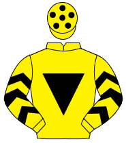 YELLOW, black inverted triangle, black chevrons on sleeves, yellow cap, black spots                                                                   