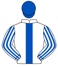WHITE, royal blue panel, striped sleeves, royal blue cap                                                                                              