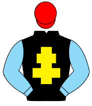 BLACK, yellow cross of lorraine, light blue sleeves, red cap                                                                                          