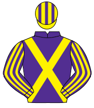 PURPLE, yellow cross sashes, striped sleeves, yellow & purple striped cap                                                                             