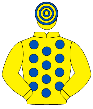 YELLOW, royal blue spots, yellow sleeves, hooped cap                                                                                                  