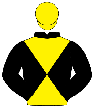 BLACK & YELLOW DIABOLO, black sleeves, yellow cap                                                                                                     