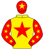 YELLOW, red star, red sleeves, yellow stars, red cap, yellow star                                                                                     