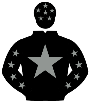 BLACK, grey star, grey stars on sleeves, black cap, grey stars                                                                                        