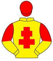 YELLOW, red cross of lorraine, halved sleeves, red cap                                                                                                