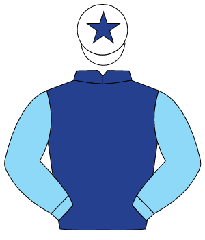 DARK BLUE, light blue sleeves, white cap, dark blue star                                                                                              