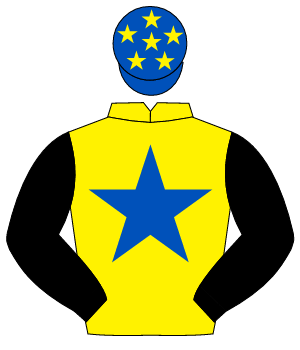YELLOW, royal blue star, black sleeves, royal blue cap, yellow stars                                                                                  