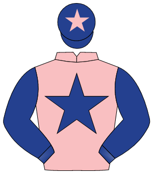 PINK, dark blue star & sleeves, dark blue cap, pink star