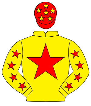 YELLOW, red star, red stars on sleeves, red cap, yellow stars