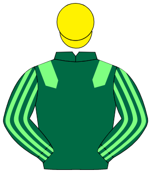 DARK GREEN, light green epaulettes, striped sleeves, yellow cap                                                                                       