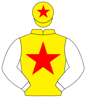 YELLOW, red star, white sleeves, yellow cap, red star