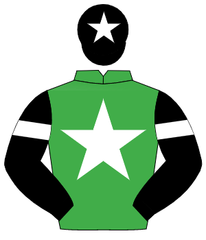 EMERALD GREEN, white star, black sleeves, white armlet, black cap, white star