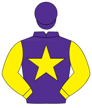 PURPLE, yellow star & sleeves, purple cap