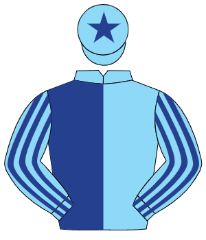 LIGHT BLUE & DARK BLUE HALVED, striped sleeves, dark blue star on cap