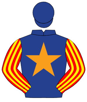 DARK BLUE, orange star, red & yellow striped sleeves, dark blue cap