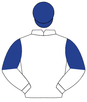 WHITE, dark blue halved sleeves, dark blue cap