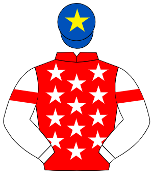 RED, white stars, white sleeves, red armlet, royal blue cap, yellow star