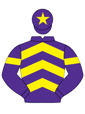 PURPLE, yellow chevrons, armlets and star on cap
