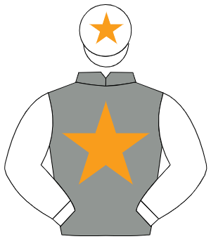 GREY, orange star, white sleeves, white cap, orange star