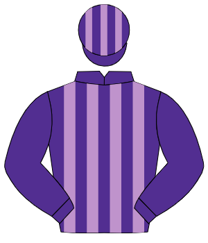 PURPLE & MAUVE STRIPES, purple sleeves, striped cap