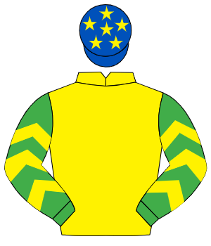 YELLOW, emerald green sleeves, yellow chevrons, royal blue cap, yellow stars