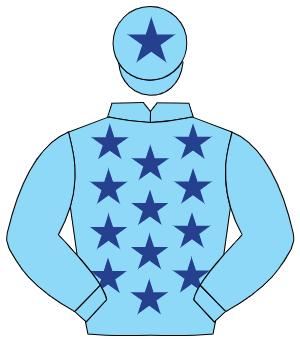 LIGHT BLUE, dark blue stars, light blue sleeves, dark blue star on cap