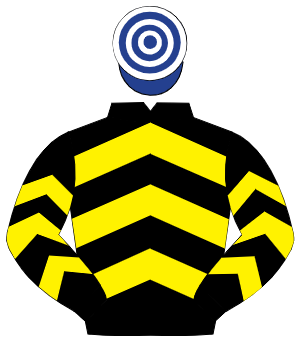 BLACK & YELLOW CHEVRONS, dark blue & white hooped cap