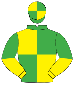 EMERALD GREEN & YELLOW QUARTERED, yellow & emerald green halved sleeves, emerald green & yellow quartered cap