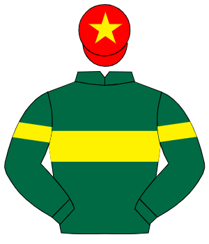 DARK GREEN, yellow hoop, yellow armlet, red cap, yellow star