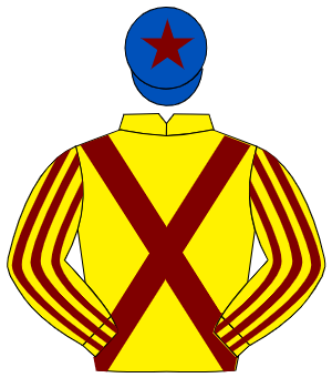 YELLOW, maroon cross sashes, striped sleeves, royal blue cap, maroon star