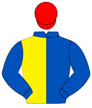 ROYAL BLUE & YELLOW HALVED, royal blue sleeves, red cap