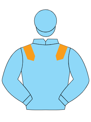 LIGHT BLUE, orange epaulettes
