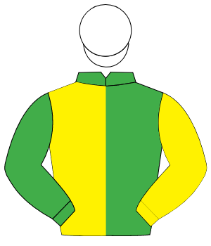 EMERALD GREEN & YELLOW HALVED, sleeves reversed, white cap