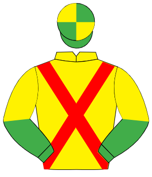 YELLOW, red cross sashes, emerald green & yellow halved sleeves, emerald green & yellow quartered cap