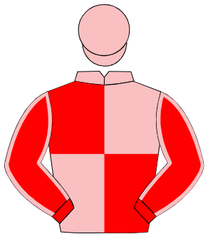 PINK & RED QUARTERED, red sleeves, pink seams, pink cap