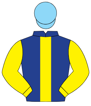 DARK BLUE, yellow panel & sleeves, light blue cap