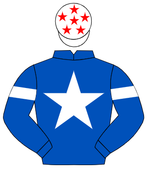 ROYAL BLUE, white star, white armlet, white cap, red stars
