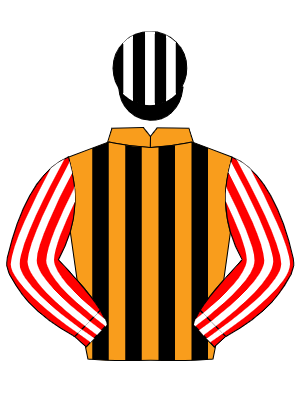 ORANGE & BLACK STRIPES, red & white striped sleeves, black & white striped cap